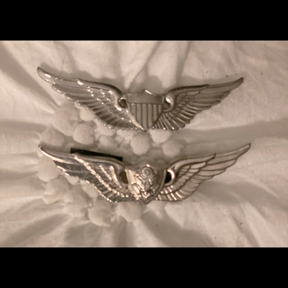 Wings Flight